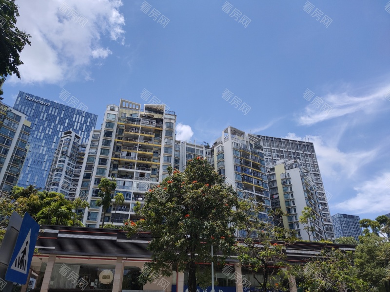深圳滨海之窗小区信息图片8