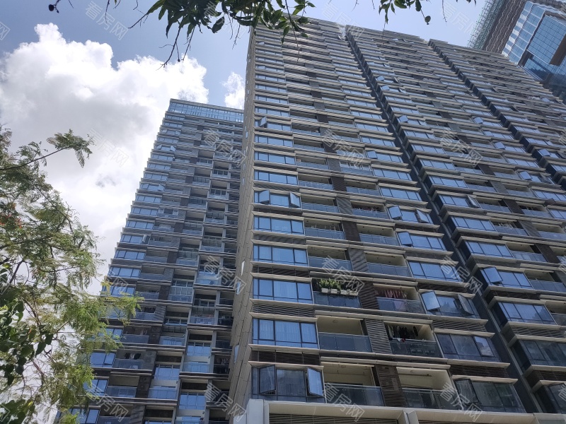 深圳金地国际公寓小区信息图片9