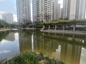 深圳千林山居二期小区信息图片