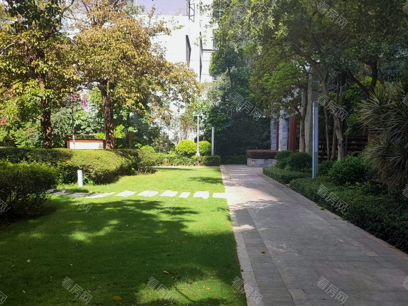 深圳岸芷汀兰小区信息图片4