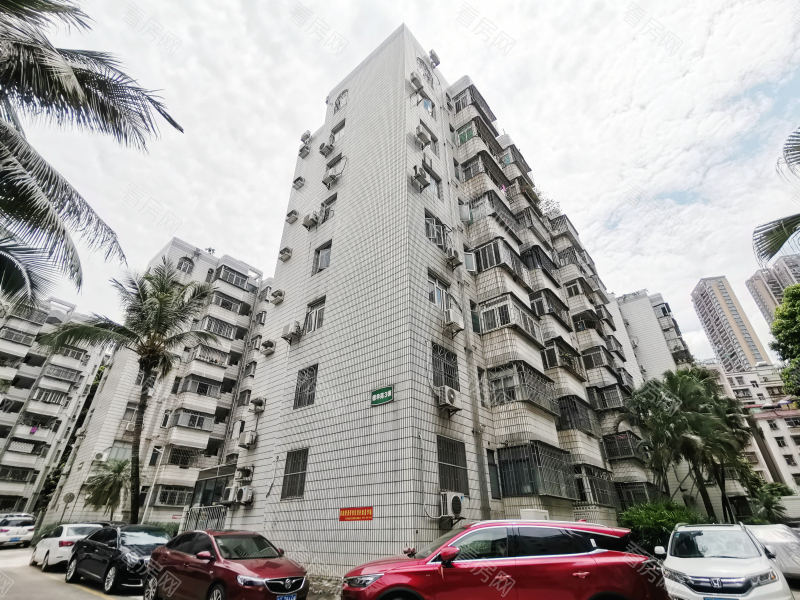 深圳德兴花园北区小区信息图片12