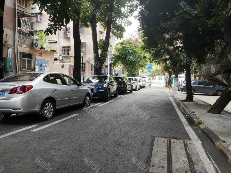 深圳凤凰路58号大院小区信息图片3