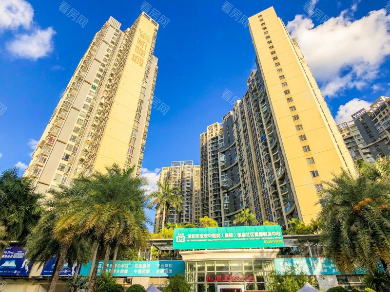 深圳金泓凯旋城一期小区信息图片10