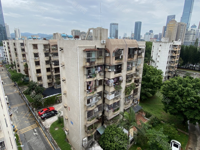 深圳深大新村小区信息图片10