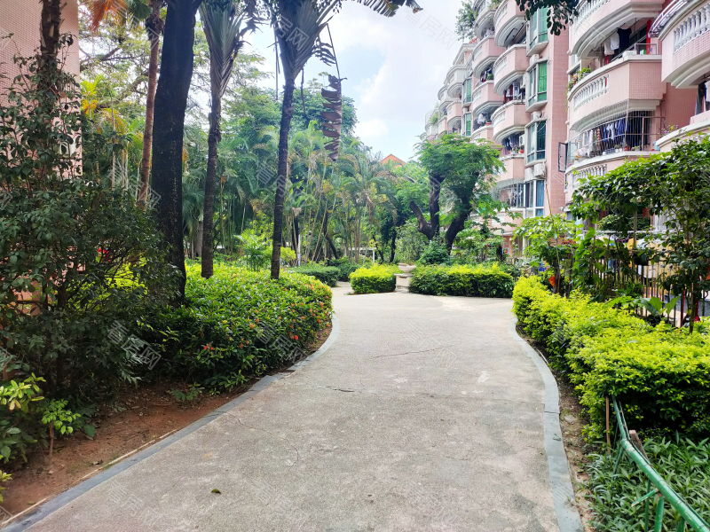 深圳阳光花园小区信息图片3