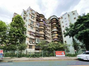 深圳云中阁大院小区信息图片