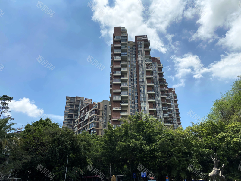 深圳星河丹堤小区信息图片1