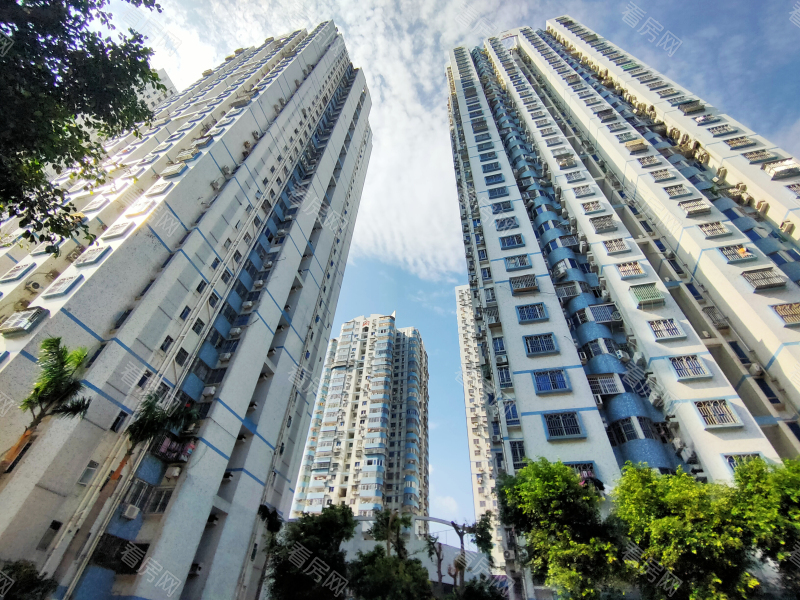 深圳国展苑小区信息图片9