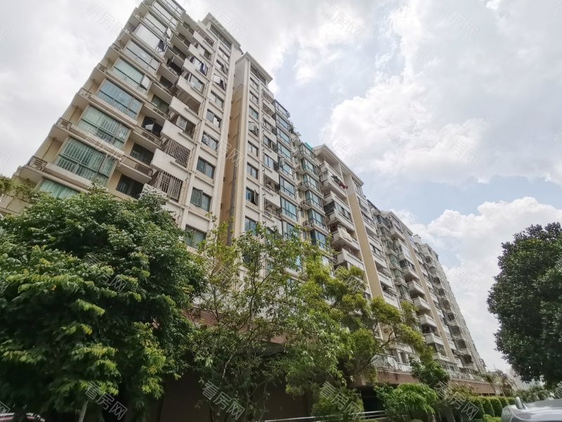 深圳合正锦园北区小区信息图片11