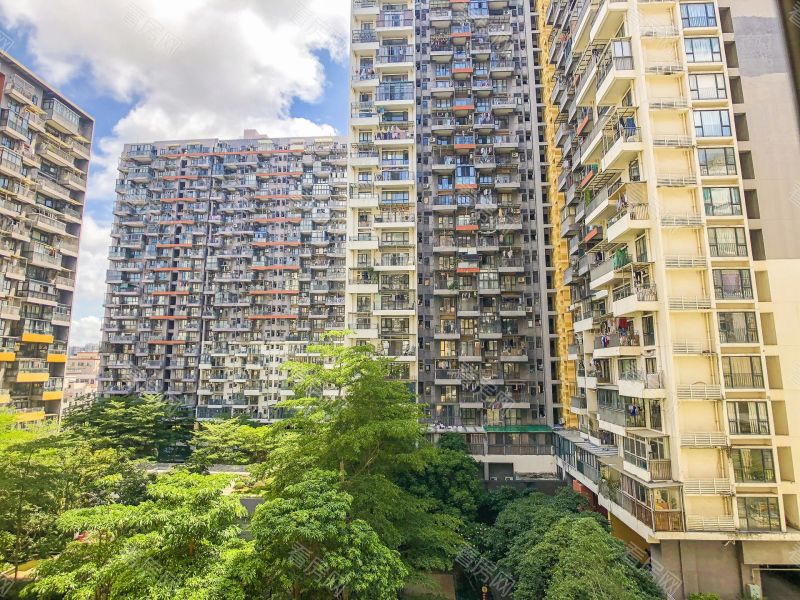 深圳花样年花乡小区信息图片8
