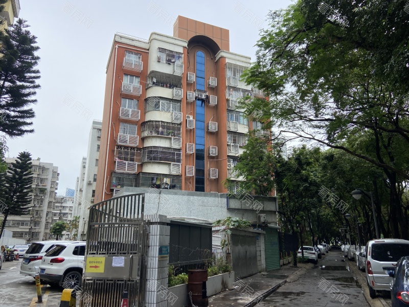 深圳皇洲花园小区信息图片11