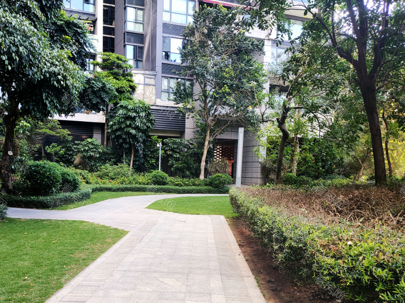 深圳岸芷汀兰小区信息图片3