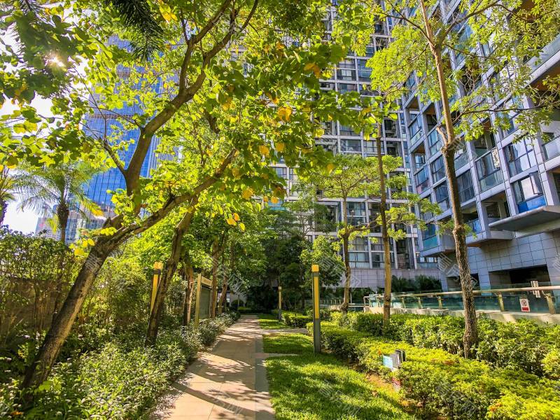 深圳天健时尚空间小区信息图片30