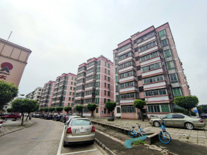 佛山沙头新村小区信息图片