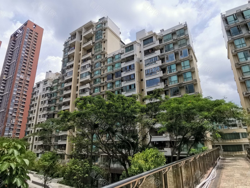 深圳合正锦园南区小区信息图片10