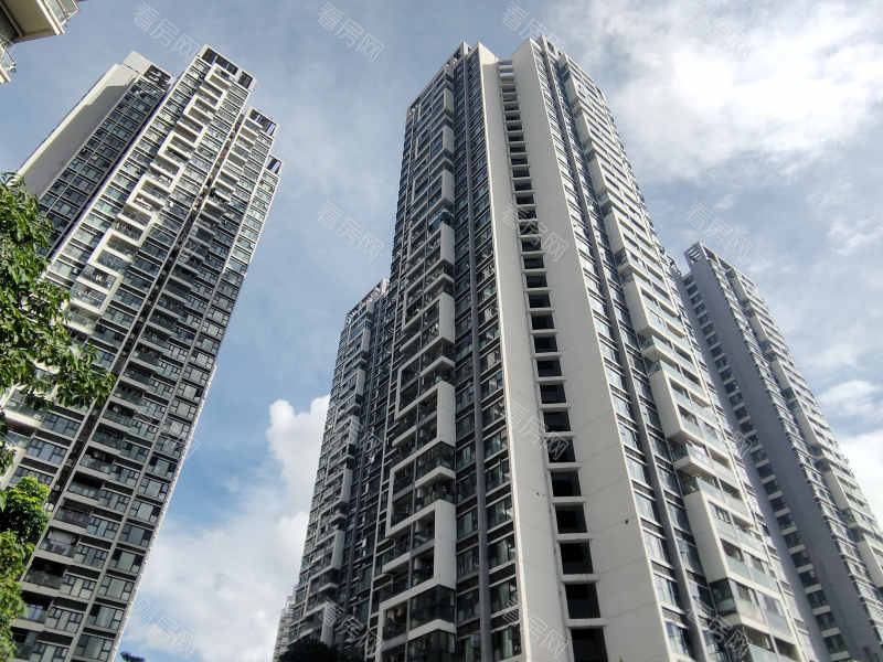 深圳栖游记小区信息图片6