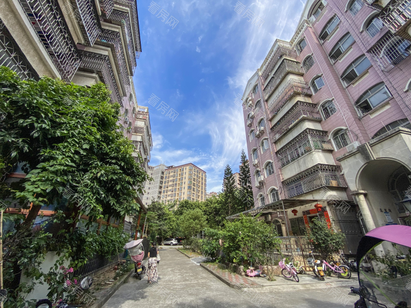 深圳金域豪庭一期小区信息图片43