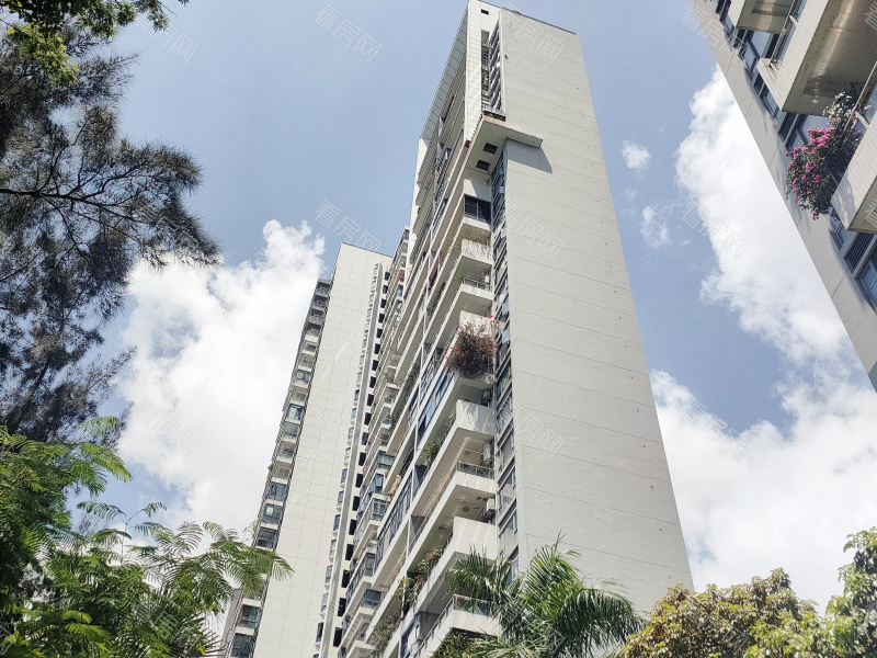 深圳纯海岸雅居小区信息图片7