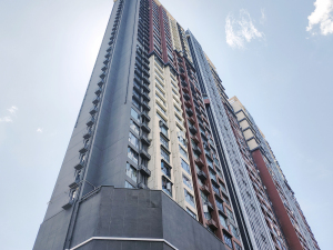 深圳传麒东湖名苑小区信息图片