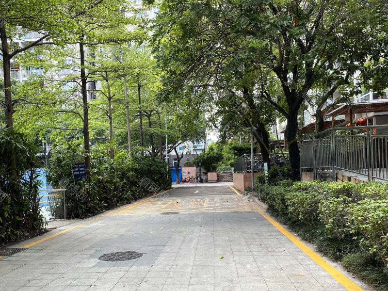 深圳科苑学里小区信息图片3