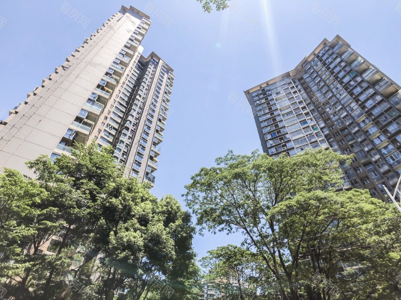 深圳富通城五期小区信息图片24