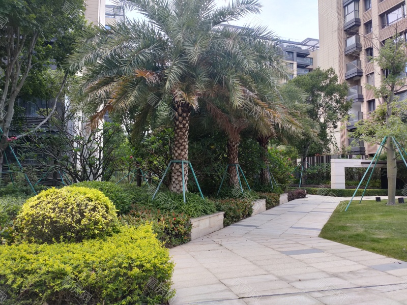 深圳前海时代CEO公馆小区信息图片5