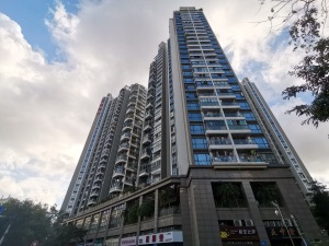 深圳阳光花地苑小区信息图片