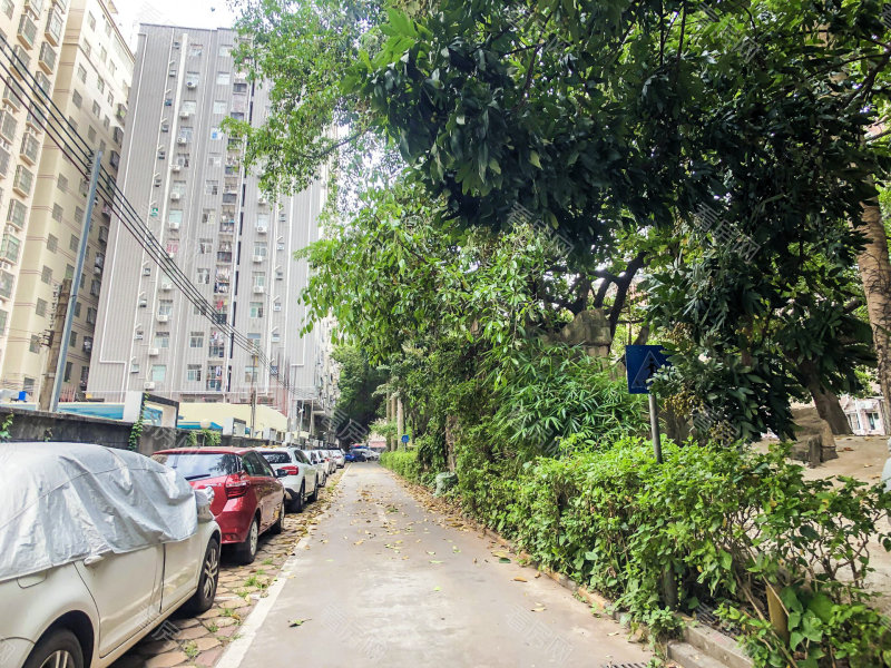 深圳雅涛花园小区信息图片8