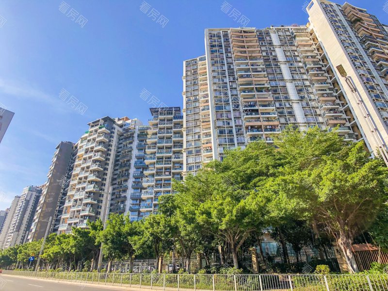 深圳深业新岸线三期小区信息图片2