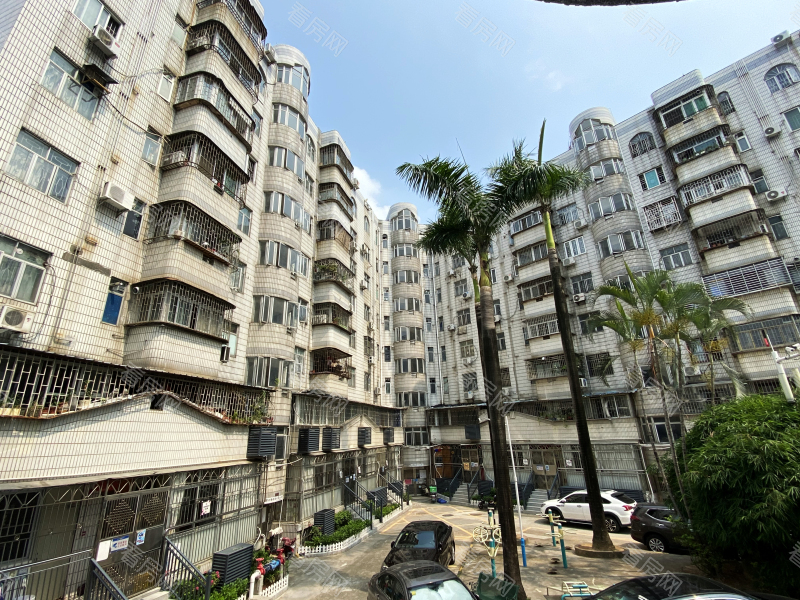 深圳德兴花园南区小区信息图片11