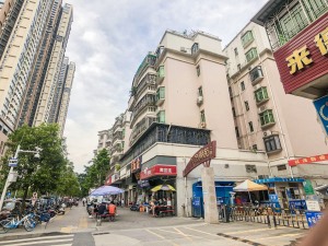 深圳半岛名苑二期小区信息图片