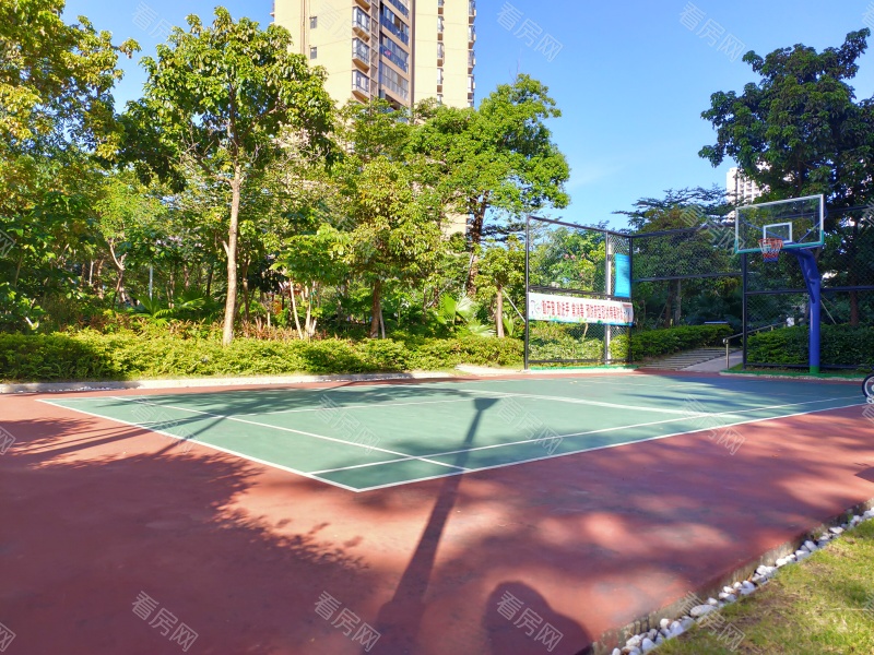 珠海明海雅苑小区信息图片5