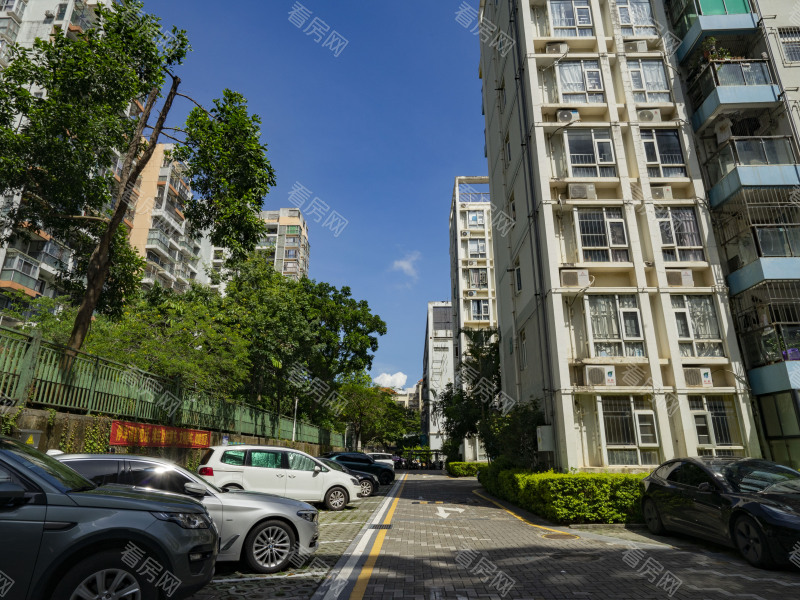 深圳雷圳碧榕湾名苑小区信息图片6