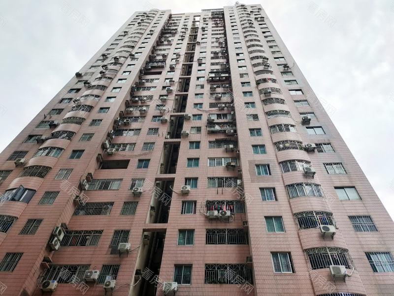 深圳龙珠花园(龙岗)小区信息图片8