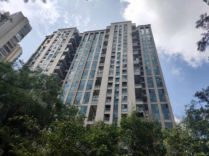 深圳卓越浅水湾小区信息图片7