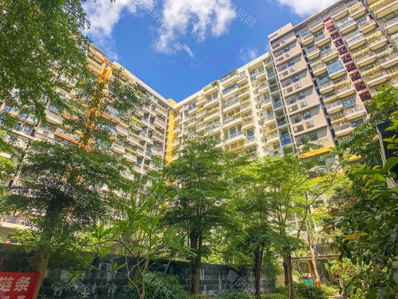 深圳花样年花乡小区信息图片9