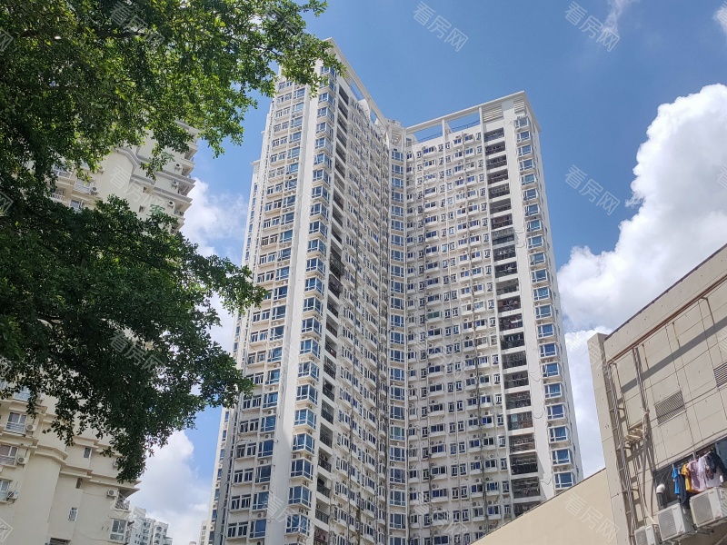 深圳东门168小区信息图片2