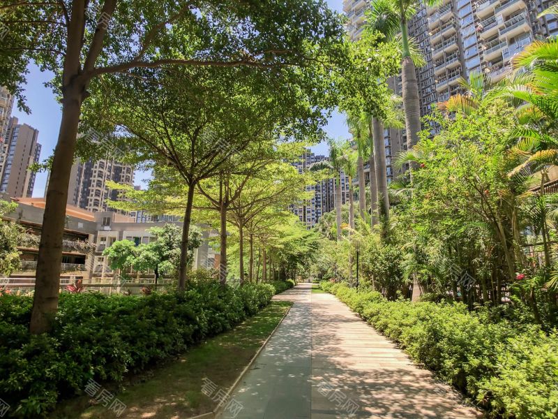 深圳富通城五期小区信息图片20