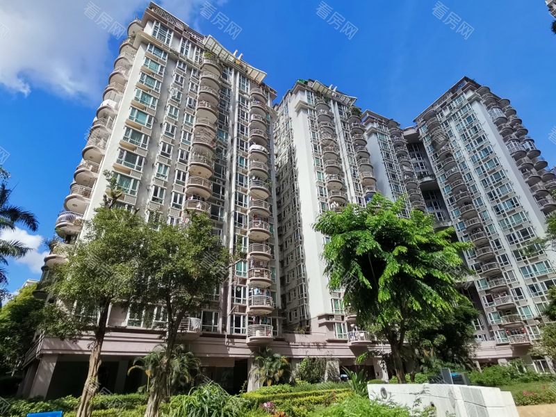 深圳星海名城二期小区信息图片15