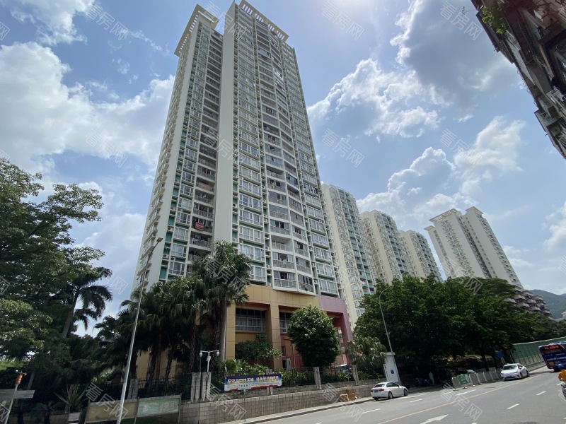 深圳桐景花园小区信息图片9