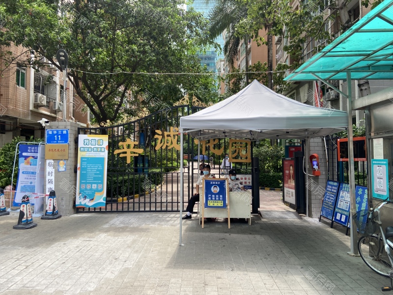 深圳辛诚花园小区信息图片5