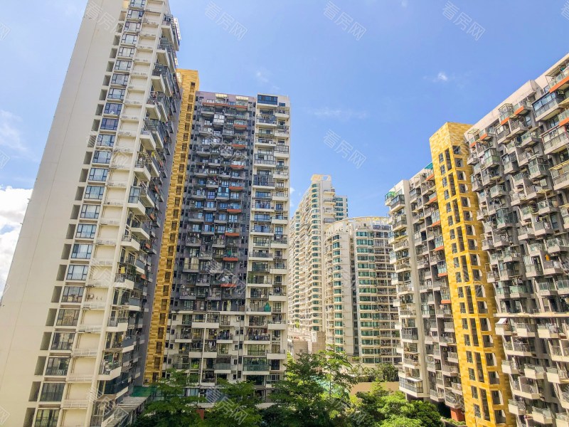 深圳花样年花乡小区信息图片7