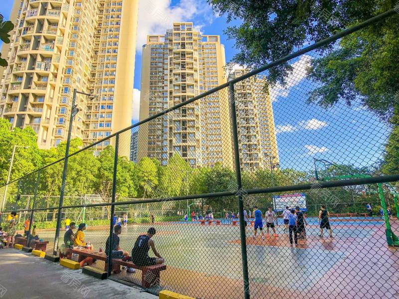 深圳金泓凯旋城一期小区信息图片8