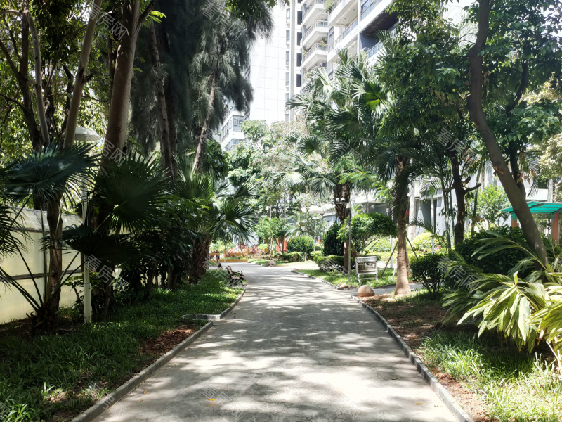 深圳纯海岸雅居小区信息图片3