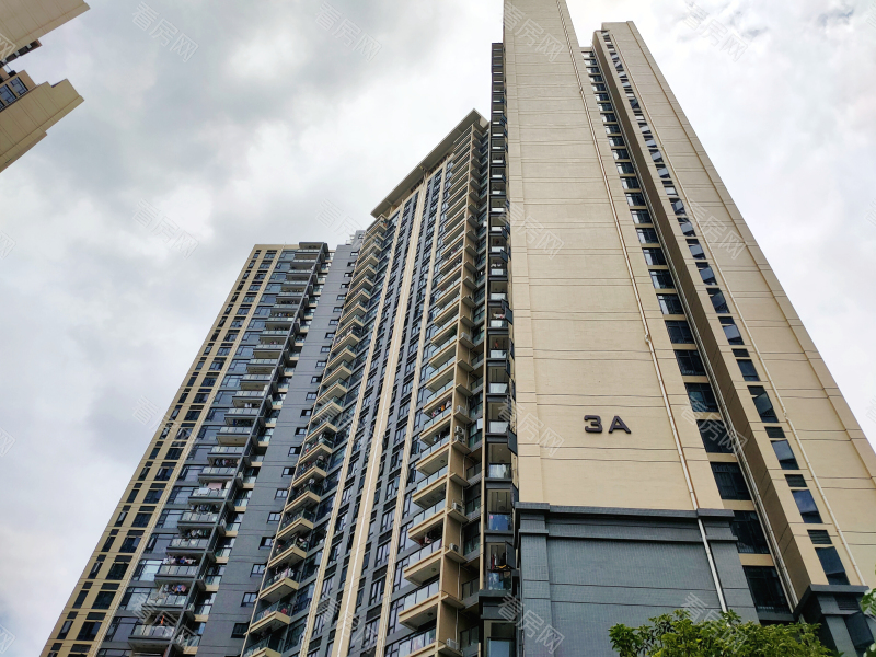 深圳花语馨小区信息图片11