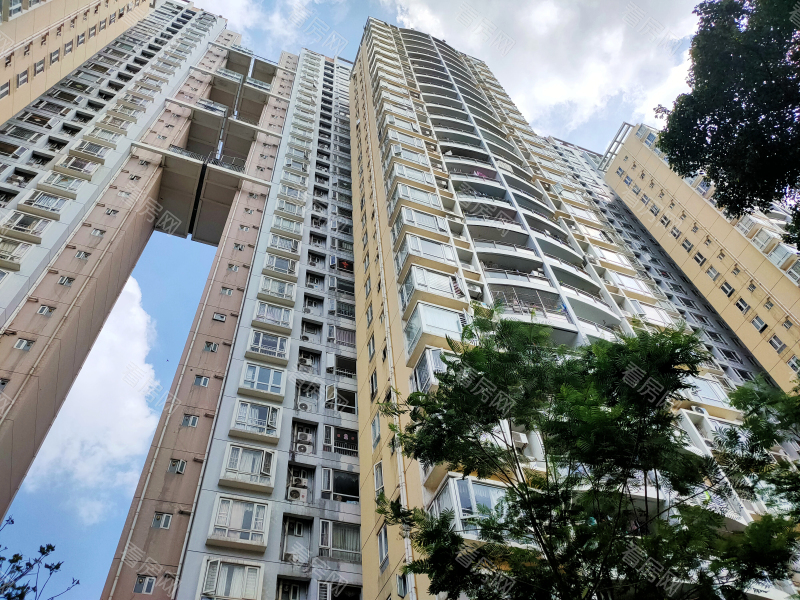 深圳百合星城二期小区信息图片8