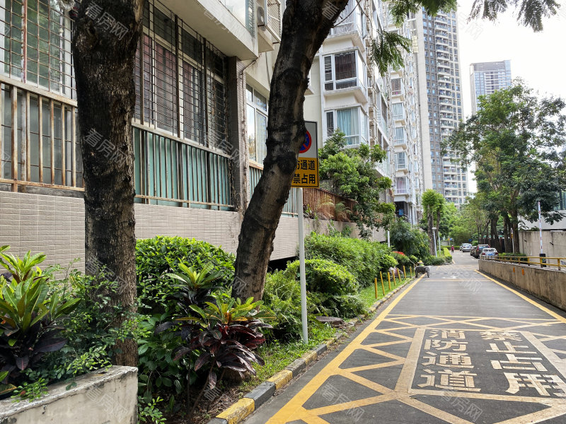 深圳科苑学里小区信息图片5