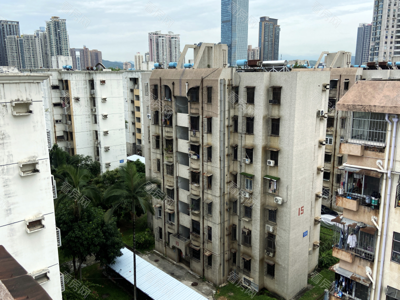 深圳深大新村小区信息图片11