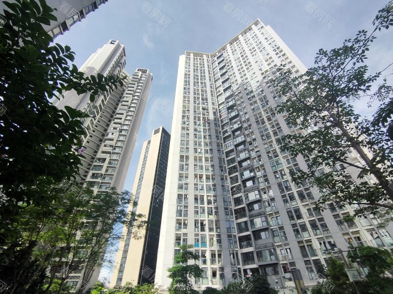 深圳栖游记小区信息图片8