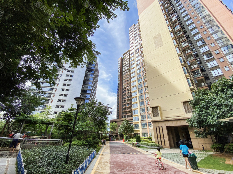 深圳同和悦园小区信息图片4